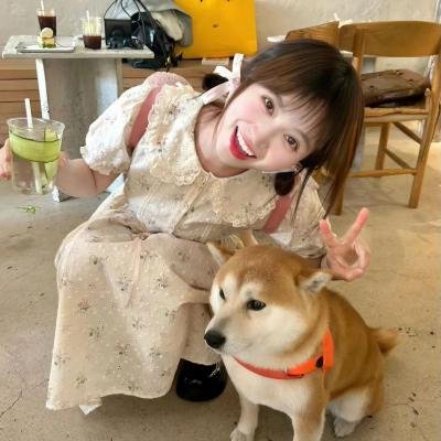 哈吉布基的森林冒险